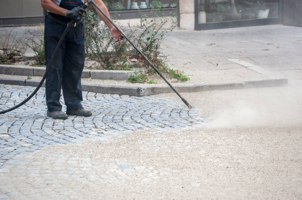 Best Winterizing Services  in Dorothy, NJ