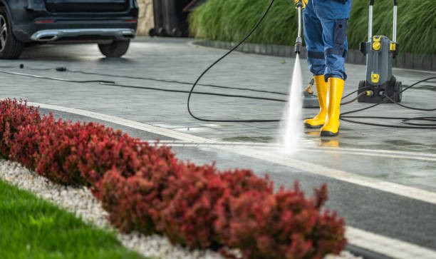 Best Gutter Cleaning  in Dorothy, NJ