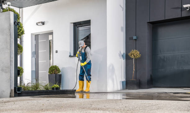 Best Driveway Pressure Washing  in Dorothy, NJ